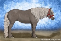 Horse Color:Silver Black 