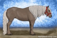 Horse Color:Silver Black 