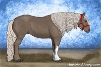 Horse Color:Silver Black 