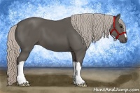 Horse Color:Silver Black 