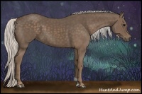 Horse Color:Silver Black 