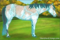 Horse Color:Thunderstruck Bay Ice Roan Splash 