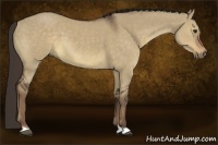 Horse Color:Liver Red Dun 