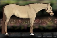 Horse Color:Liver Red Dun Rabicano 
