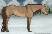Horse Color:Liver Red Dun 