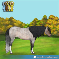 Horse Color:Brown Roan Dun Tobiano Rabicano 