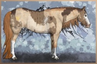 Horse Color:White Spotted Liver Red Dun and Gold Champagne Dun Rabicano