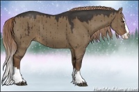 Horse Color:Liver Red Dun Sabino Splash