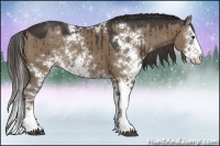 Horse Color:Liver Red Dun Sabino Splash Rabicano