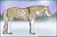 Horse Color:Liver Red Dun Sabino Splash Rabicano
