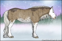 Horse Color:Liver Red Dun Sabino Splash Rabicano