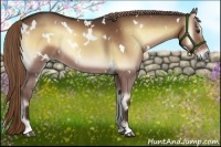 Horse Color:White Spotted Liver Red Onyx 