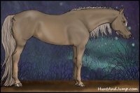 Horse Color:Chocolate Palomino 