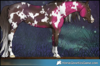 Horse Color:White Spotted Liver Chestnut