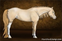 Horse Color:Gold Champagne Pearl Sabino 
