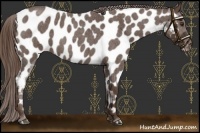 Horse Color:Liver Red Roan Near Leopard 