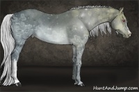 Horse Color:Silver Brown Chinchilla Ice