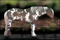 Horse Color:White Spotted Silver Brown