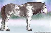Horse Color:Chocolate Brown Ice Sabino Splash 