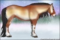 Horse Color:Bay Onyx 