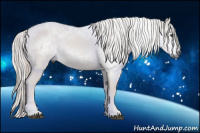 Horse Color:Gray Chestnut 