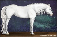Horse Color:Cremello Sabino and Cremello Sabino
