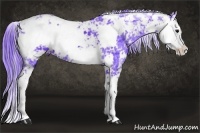 Horse Color:Watercolor Black Ice Sabino