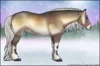 Horse Color:Liver Red Onyx Rabicano 