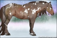 Horse Color:White Spotted Liver Chestnut Ice 
