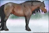 Horse Color:Bay Ice 
