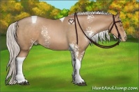 Horse Color:White Spotted Silver Brown Pearl Tobiano