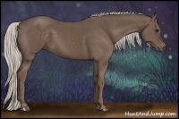 Horse Color:Silver Black