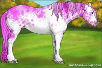 Horse Color:Watercolor White Spotted Liver Chestnut Sabino 