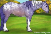 Horse Color:Watercolor Brown Ice Sabino Tobiano