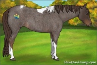 Horse Color:Liver Red Roan Tobiano 