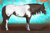 Horse Color:Liver Chestnut Snowcap 