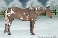 Horse Color:White Spotted Silver Black 