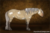 Horse Color:White Spotted Silver Brown Dun