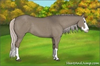Horse Color:Silver Grullo Sabino Splash