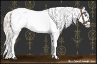 Horse Color:Chocolate Silver Bay Sabino Fewspot 