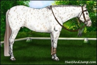 Horse Color:Bay Roan Dun Sabino Near Leopard 