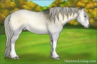 Horse Color:Chocolate Palomino Roan Onyx 