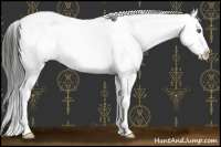 Horse Color:Buckskin Dun Splash Near Leopard 