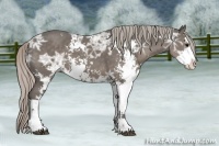 Horse Color:Silver Black Ice Sabino 