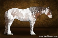 Horse Color:White Spotted Liver Chestnut Ice Sabino 
