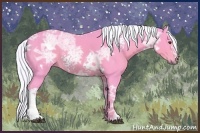 Horse Color:Watercolor White Spotted Liver Chestnut Ice 