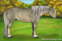 Horse Color:Chocolate Palomino 