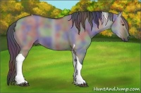 Horse Color:Nacre Smoky Grullo Chinchilla Tobiano 