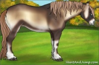 Horse Color:Liver Red Onyx 