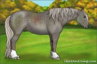Horse Color:Silver Black 